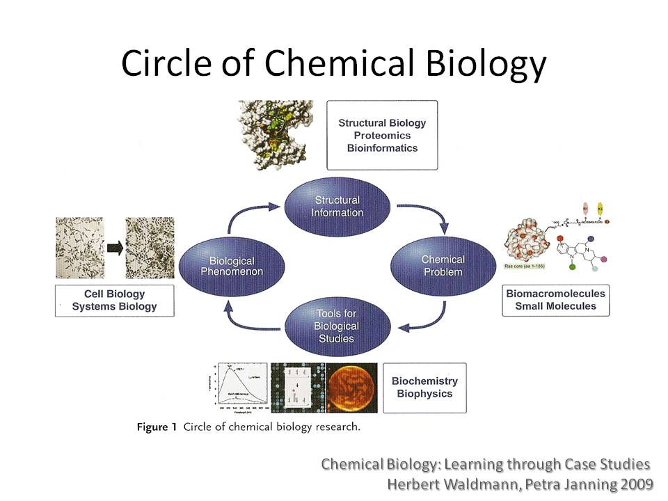 Biology Jobs Chemical Biology Jobs